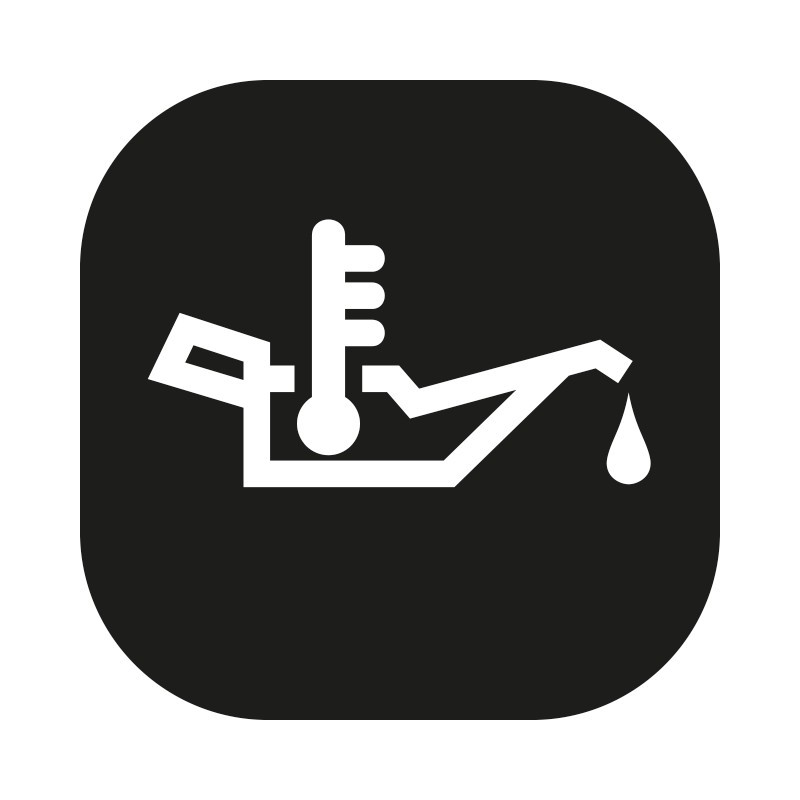 DIGIFIZmini Oil Temperature DIGIFIZmini